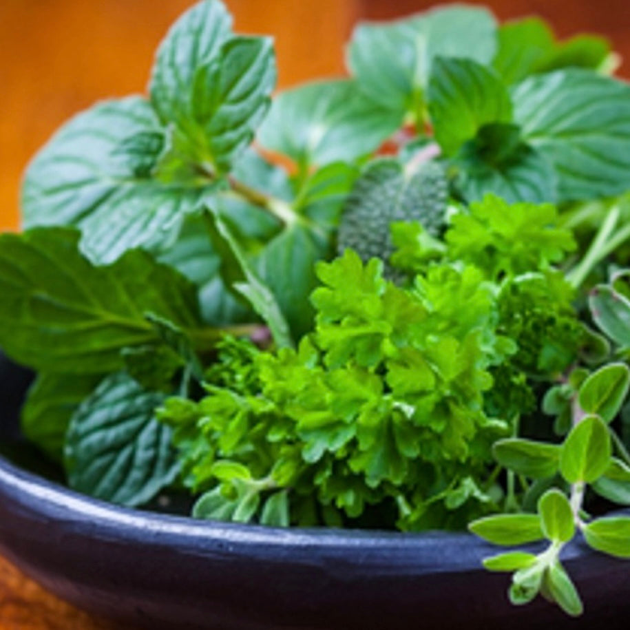 NEW BEGINNINGS- Basil Sage & Mint